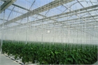 Asthor Gothic Greenhouse 