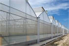 Asthor Gothic Greenhouse 