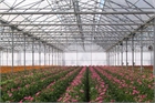 Asthor Gothic Greenhouse 