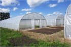 Asthor Gothic Tunnel Greenhouse 