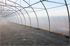 Asthor Gothic Tunnel Greenhouse 