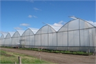 Asthor PV Greenhouse 