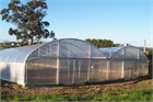 Asthor Bitunnel / Multitunnel 