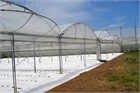 Asthor Bitunnel / Multitunnel 