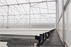 Growing systems