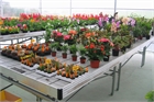 Growing systems