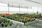 Growing systems
