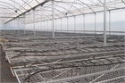 Growing systems