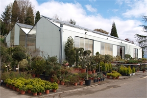 Garden center