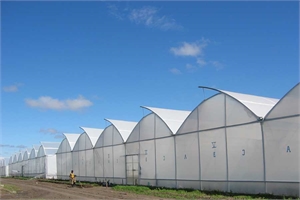 America – Asthor PVH 960 – Tomatoes and Peppers
