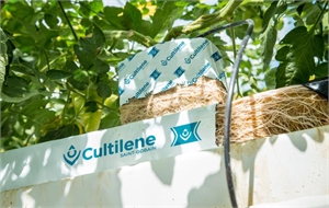 Mineral wool substrates