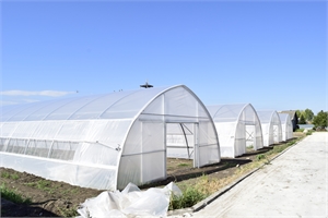 Bulgaria - Asthor Gothic Tunnel 850 – Tomato