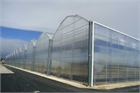 Asthor Gothic Greenhouse 