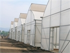 Asthor PV Greenhouse 